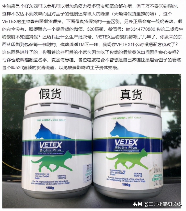 猫咪美毛掉毛用卵磷脂还是鱼油好,猫咪美毛用什么