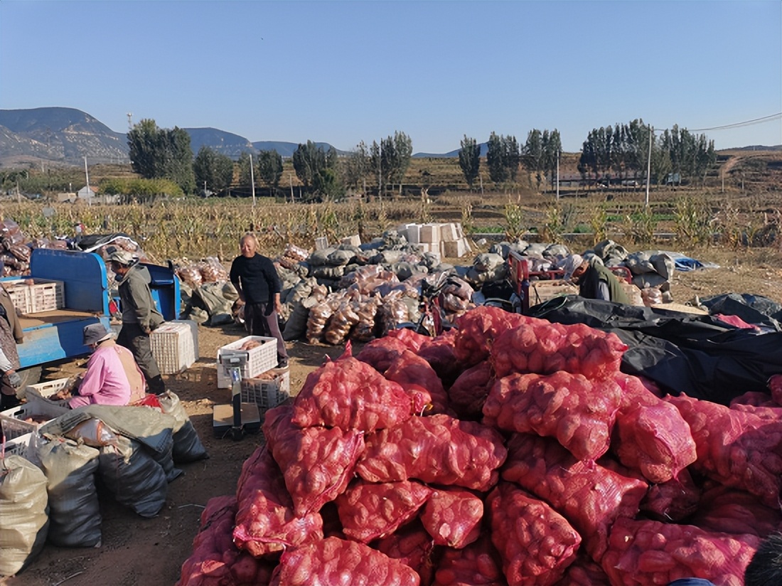 乡村振兴共同富裕金点子,振兴乡村金点子建议100条