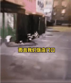 唐山打人事件后现在安全吗,唐山打人男子所穿品牌遭网暴