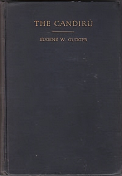 亚马孙河的鱼有哪些,亚马孙河有什么鱼