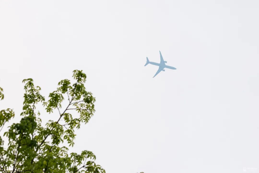 深二代与来深圳打工人的区别,年轻人在深圳的自述