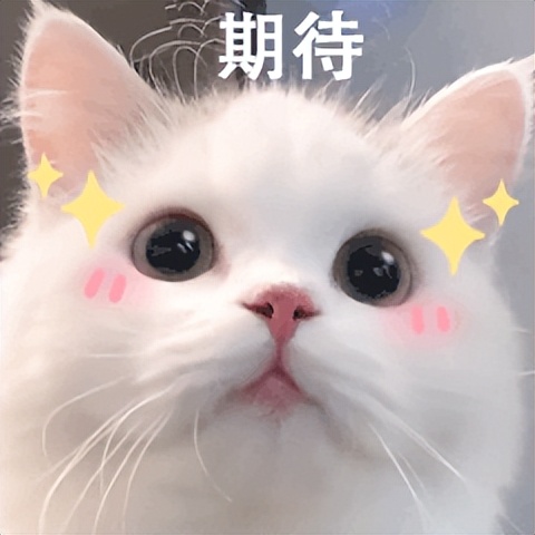 蜜蜂小狗搞笑视频,蜜蜂小狗搞笑剪辑视频