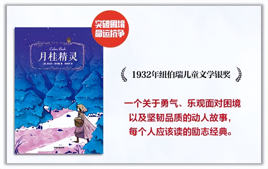 四项国际儿童文学大奖，四大成长主题，这套大奖小说礼盒别错过