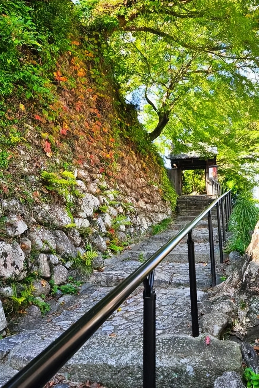 一寸光阴一寸金,一寸光景一寸金