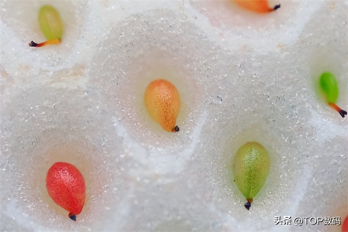 超越影像的界限OMSYSTEM奥之心精密光学2023CHINAP＆E