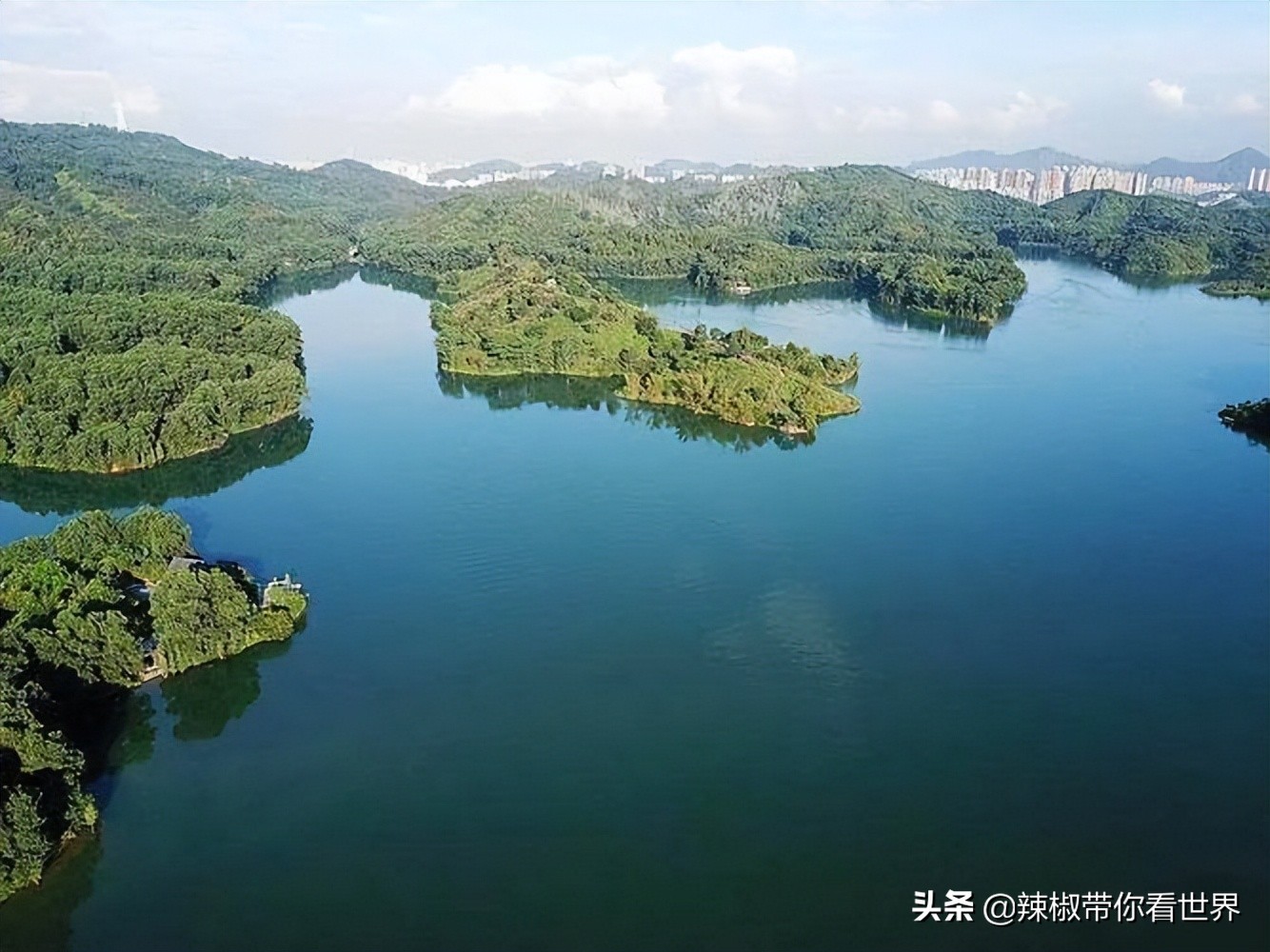 惠州市海岸线,惠州的海岸线