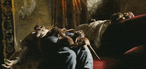 为艺术献身，她是真拼啊