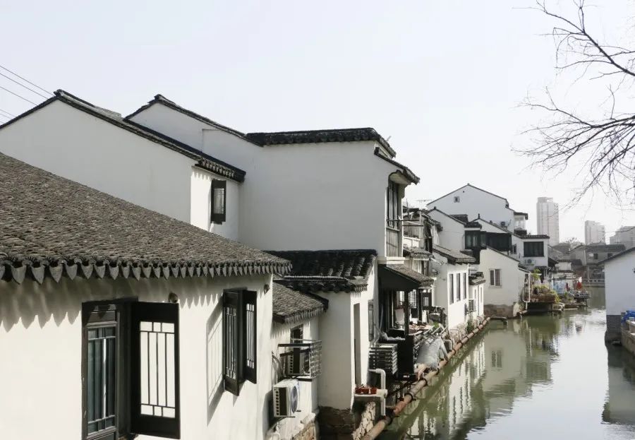 苏州人爱吃螺蛳,苏州螺蛳美食