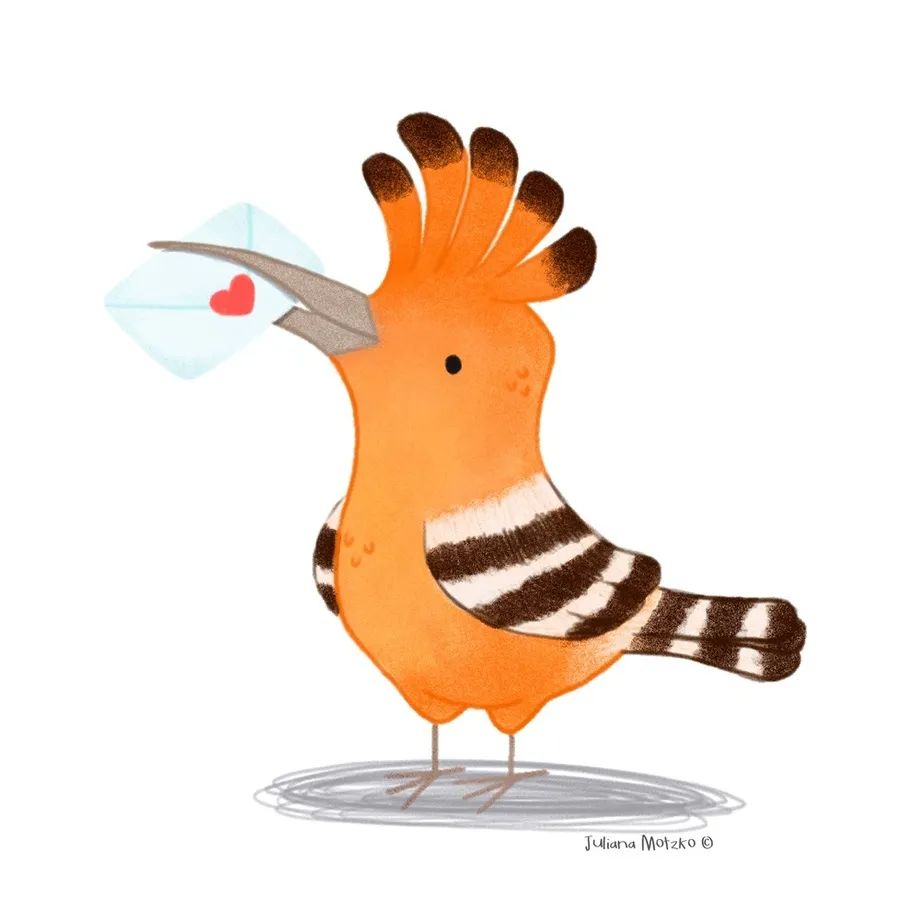 鸟类插画大全,鸟类插画艺术欣赏