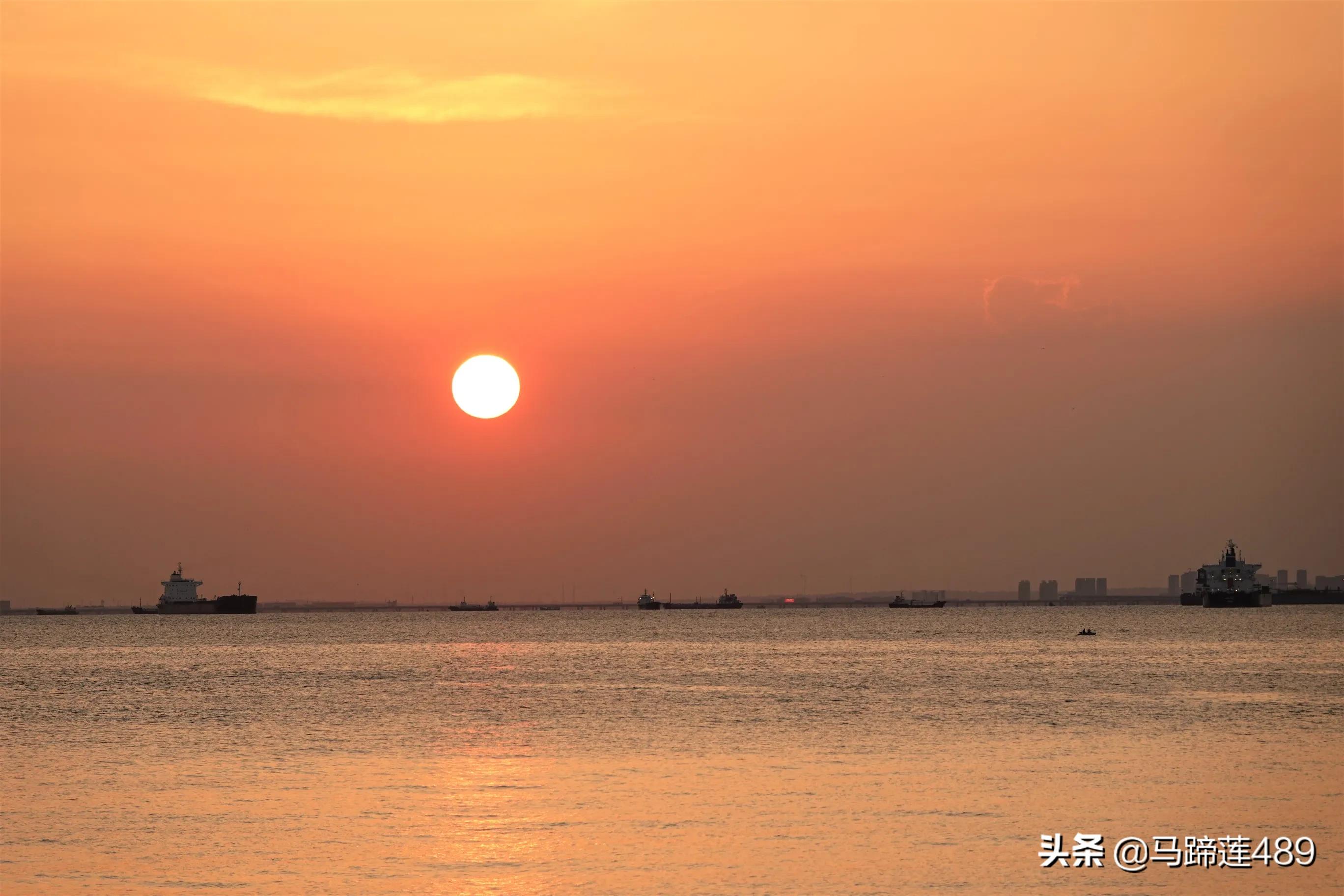 青岛金茂湾,青岛金茂湾地址