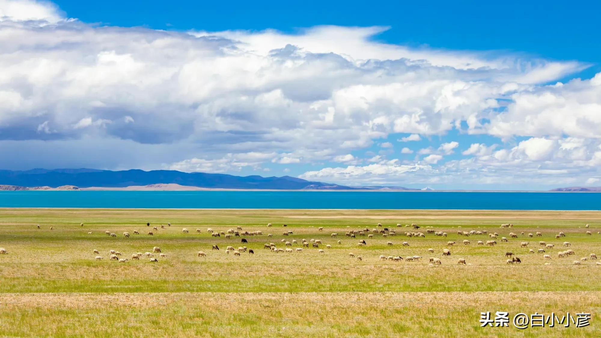 为什么焦虑症患者容易陷入思考,担忧未来总是焦虑怎么办