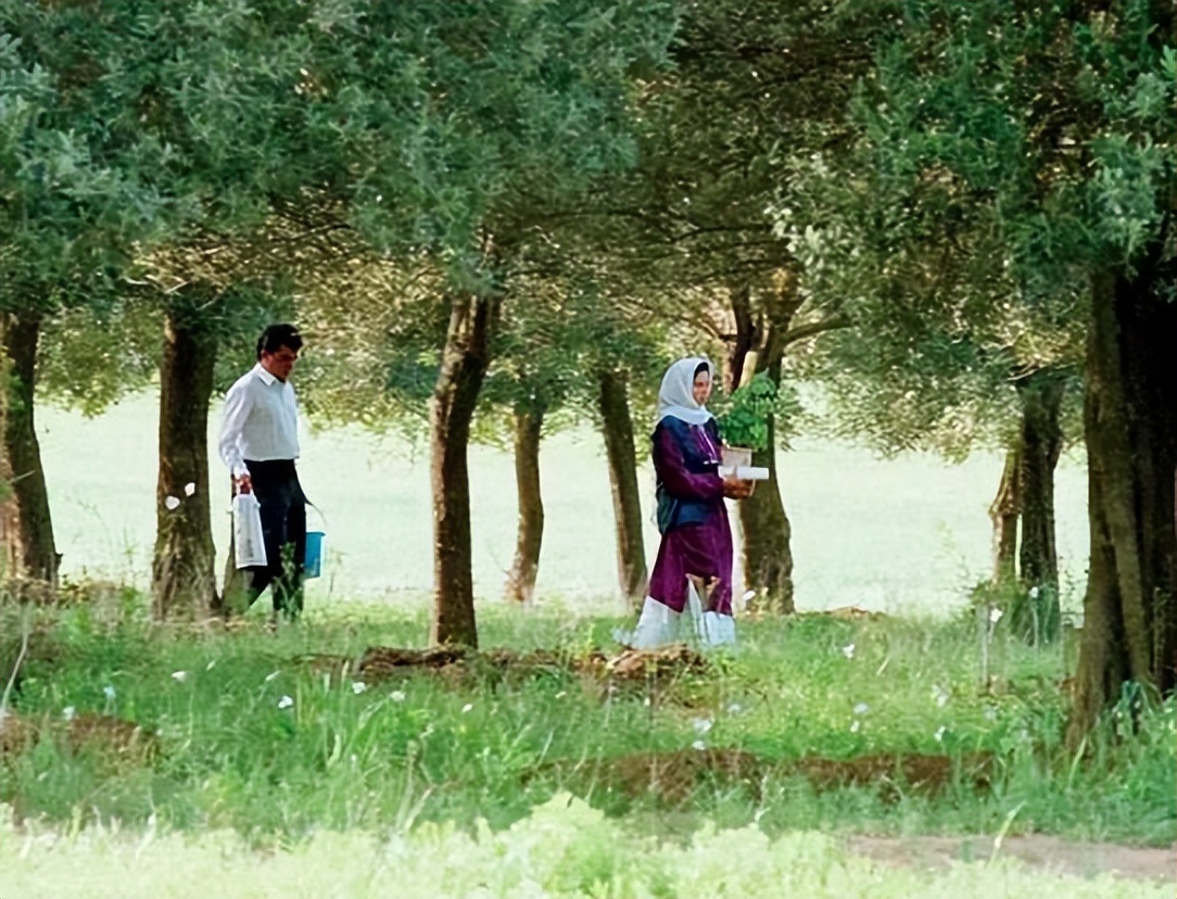 十二部催人泪下的爱情电影,十大催人泪下的爱情电影推荐