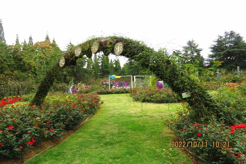 花溪小公园,美丽的花溪公园