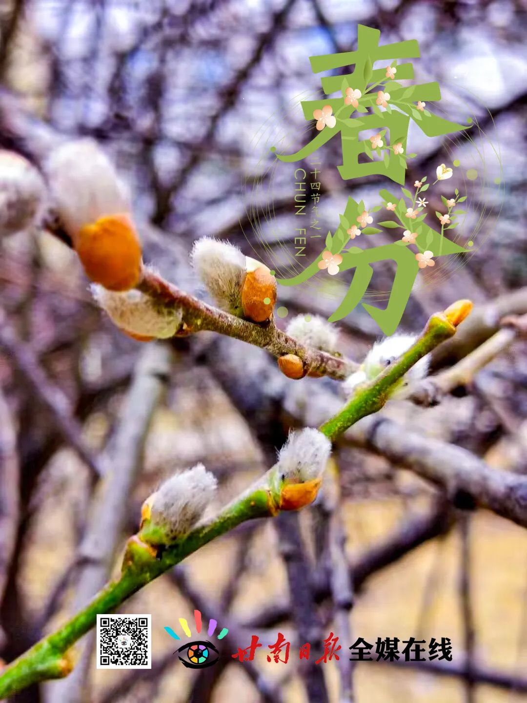 今日春分完整版视频,今日春分全文及解析