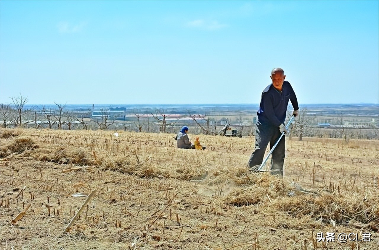 关于农村土地荒废问题,农村土地荒废现状报告
