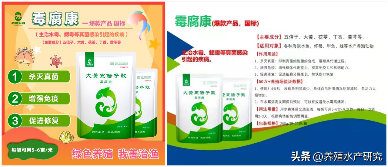 大蒜素农药治什么病最好,鱼塘起水霉用硫醚沙星没用怎么办