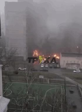 普京技能集锦,普京绝招