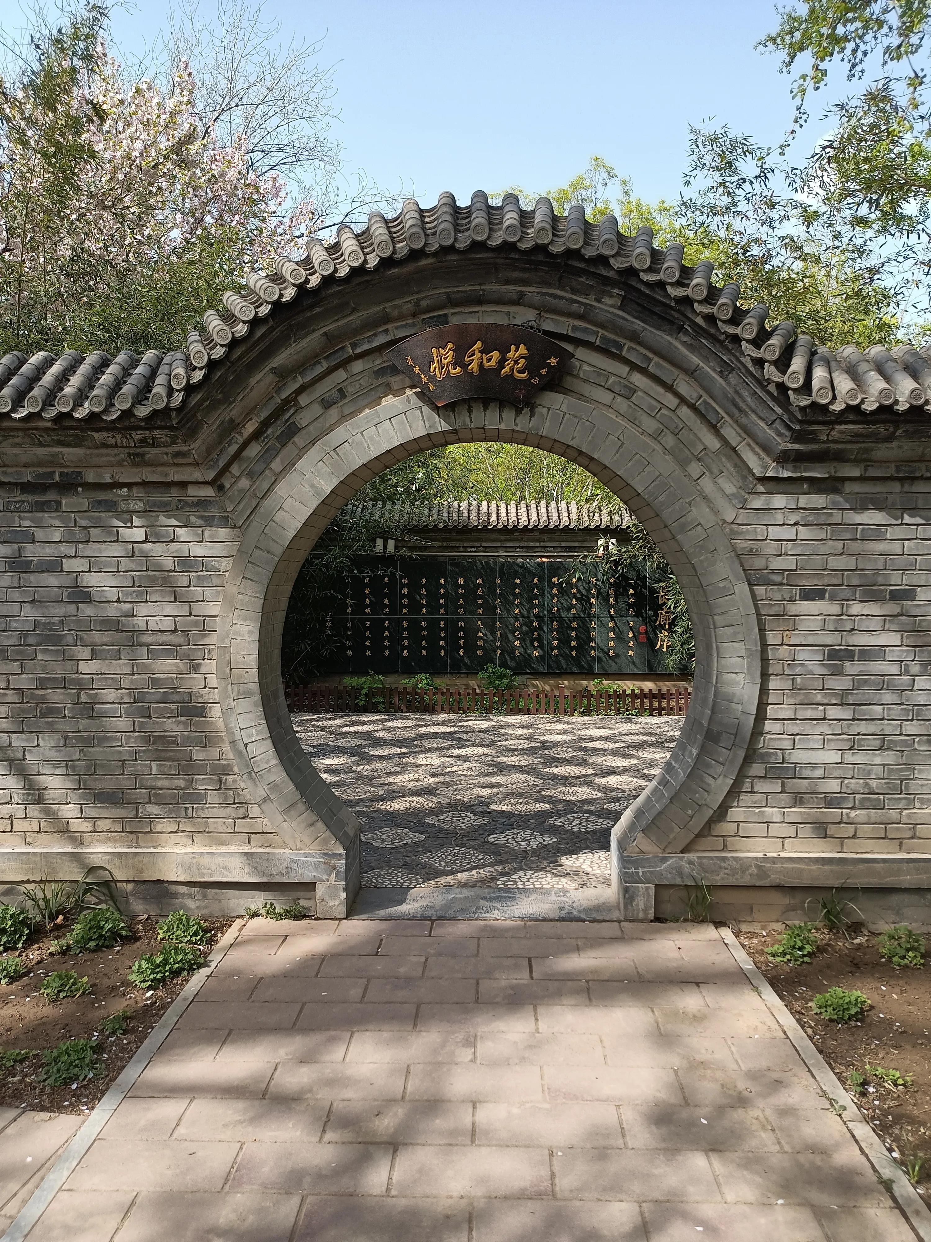 春天花开满园，梅花富贵险中求，心情美美哒