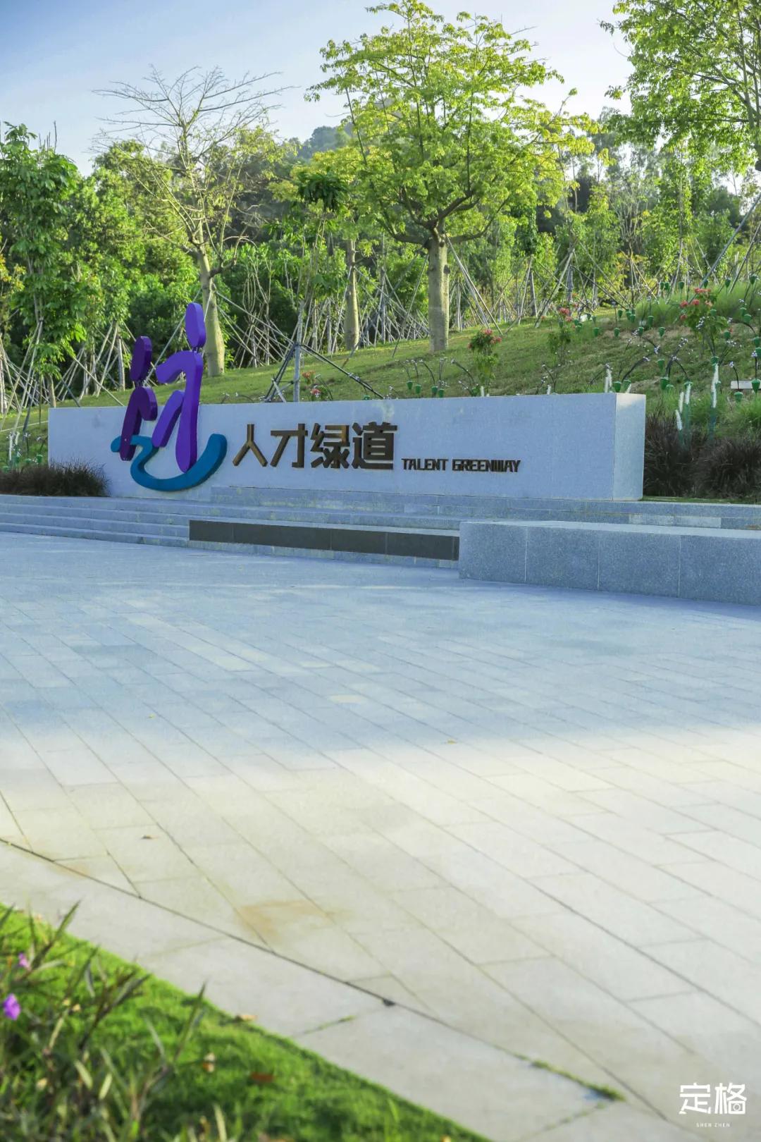 雨林打卡网红地滑梯,深圳哪里有超大型滑梯