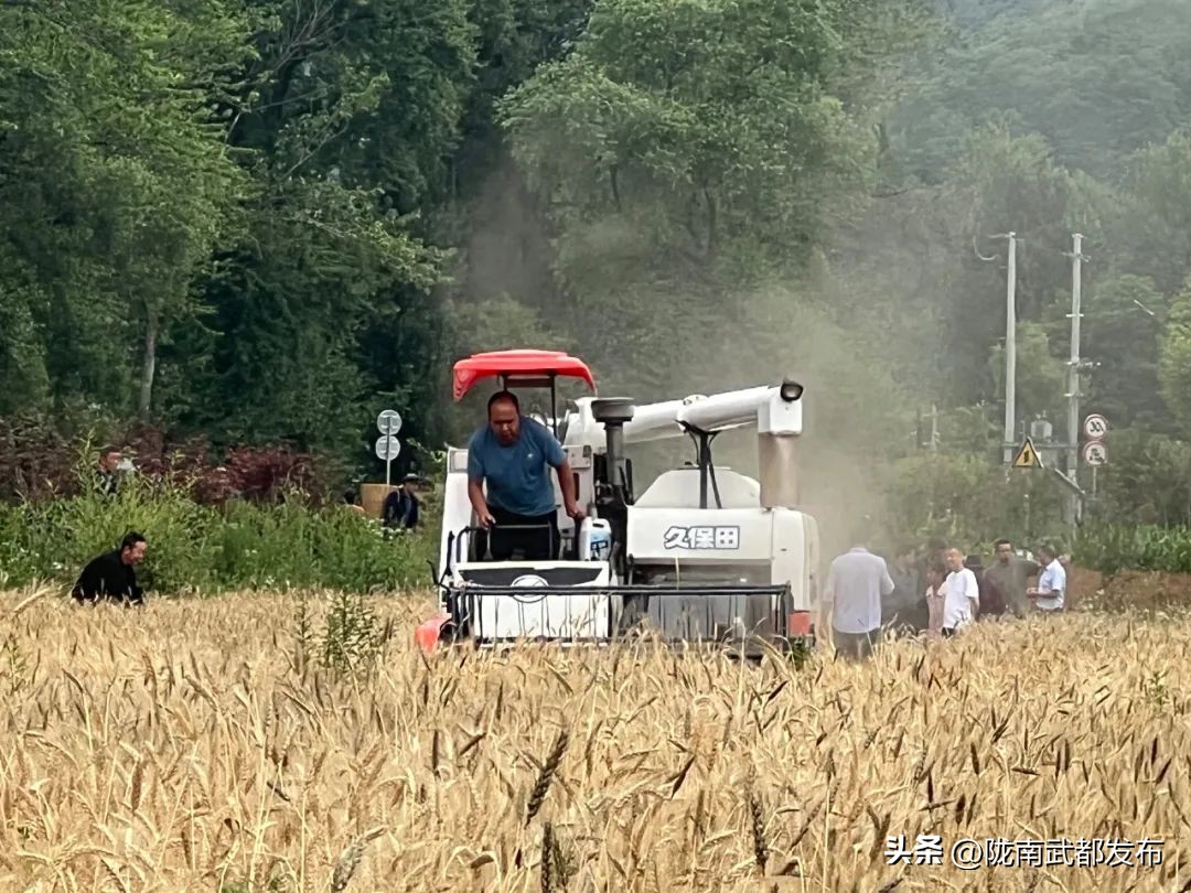 武都坪垭三抓三促,甘谷县三抓三促行动实施方案图