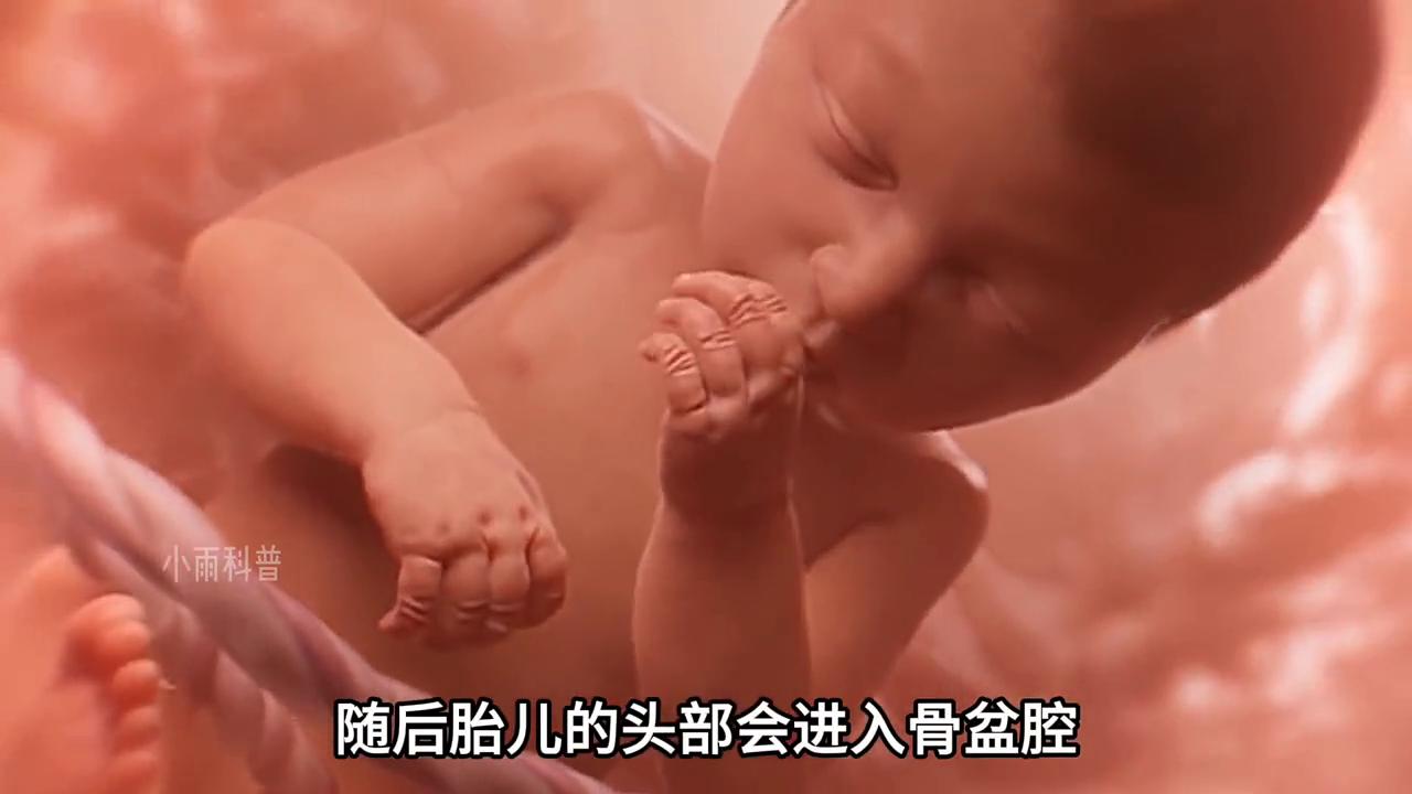 顺产过程需要疼多久,顺产最疼的是哪个过程