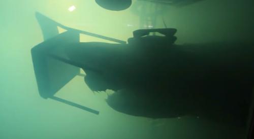 僵尸水族馆原片 (恐怖鲨鱼僵尸)