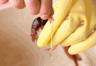 小龙虾头怎么吃,小龙虾什么部位不能吃