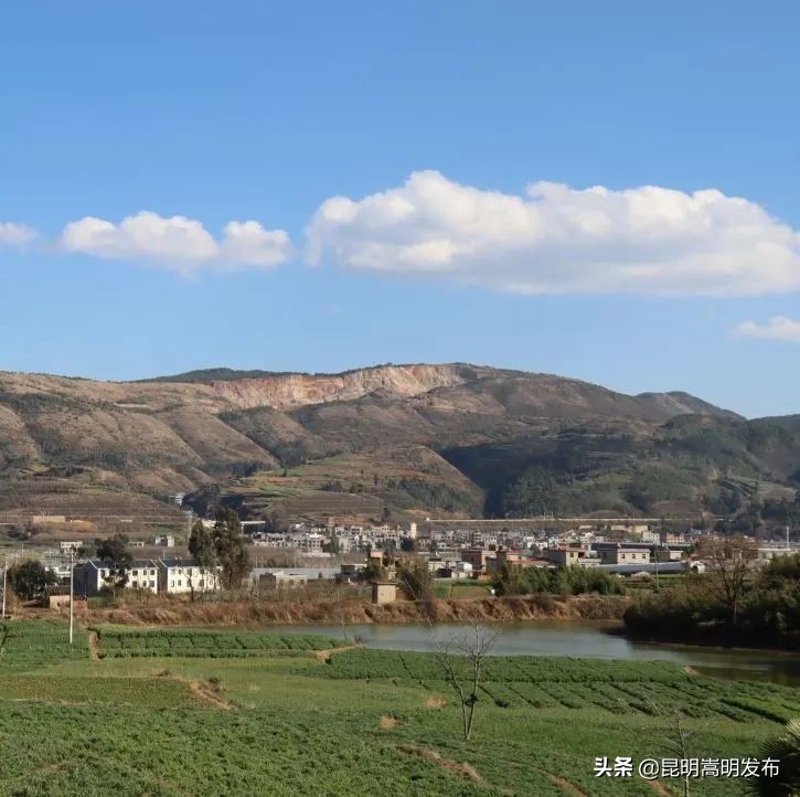 嵩明永生花店 (嵩明永生花)