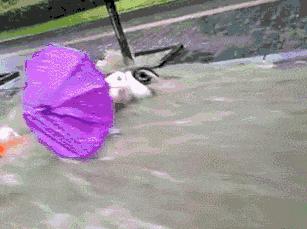 老婆包里发现的药片,老婆包里发现这个药片