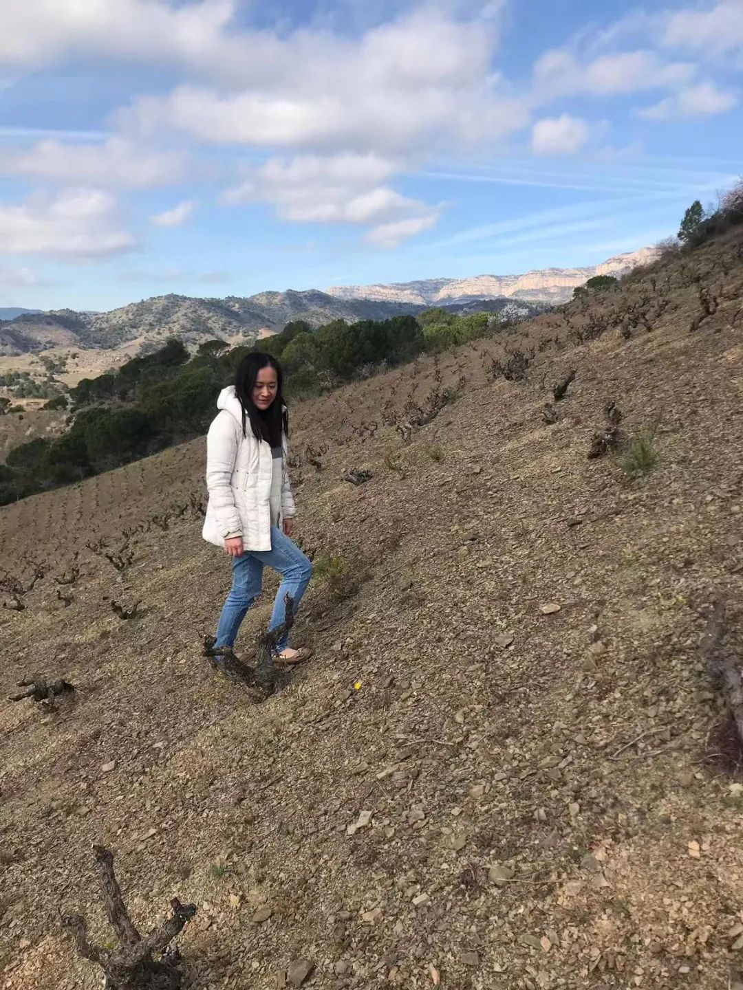 专访DianaHan|在负责西班牙酒推广项目时，一个report写上百页