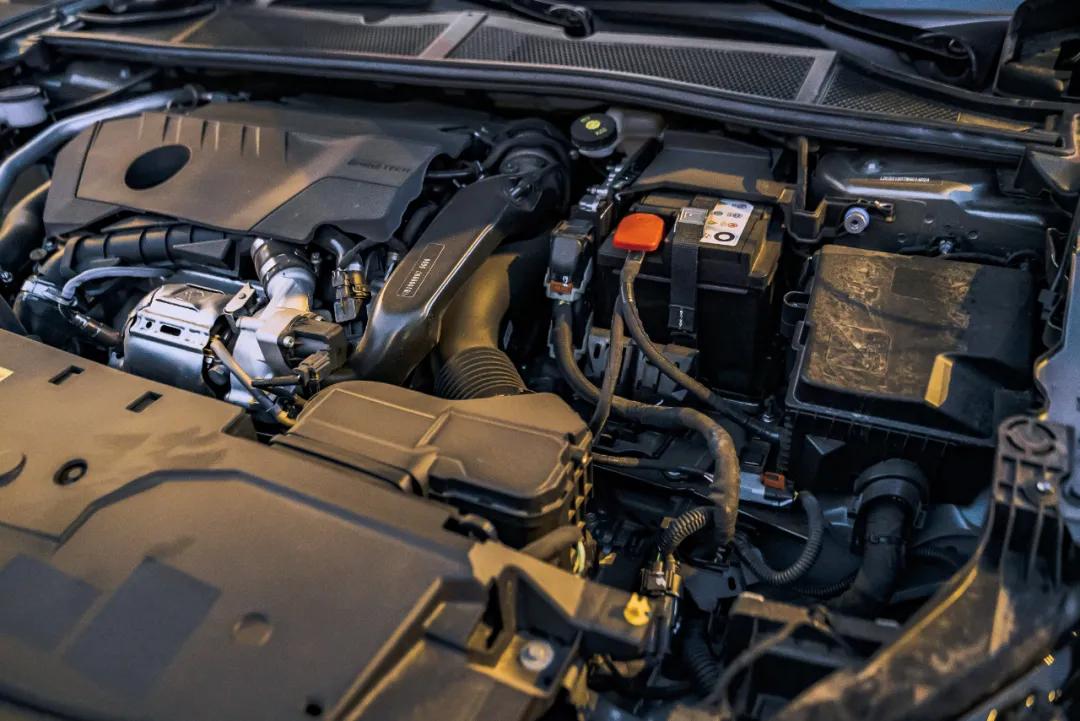 被38号怒喷的凡尔赛，到底如何？