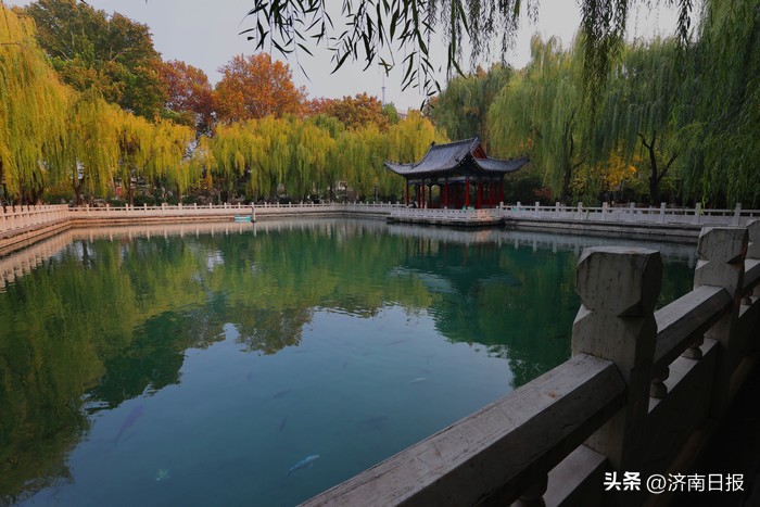 诗画名泉|珍珠泉：一泓映绮疏可以鉴须眉