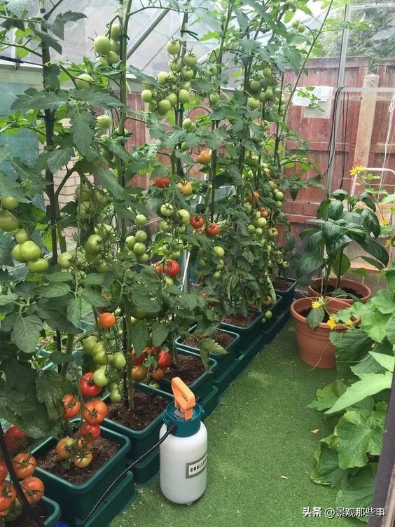 毫不犹豫的买了顶楼带露台的房子,顶楼带露台和二楼带露台