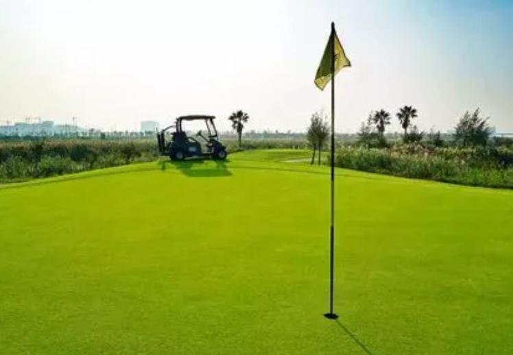 工程草坪价格每平米多少,普通草坪一平米多少钱