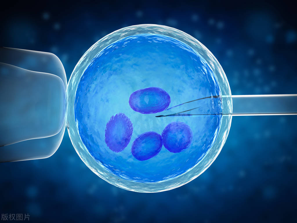 各地精子捐献补贴多少钱,各地精子捐献多少钱