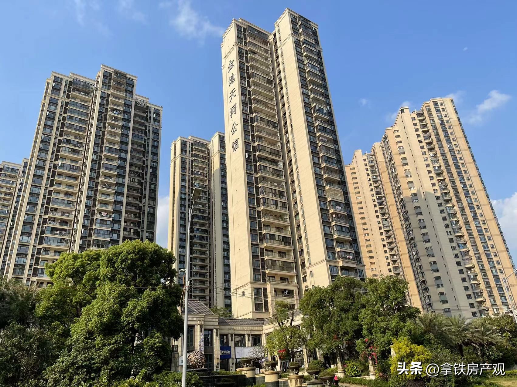 深度点评：牛奶厂劲敌来了，文津府值得买吗？