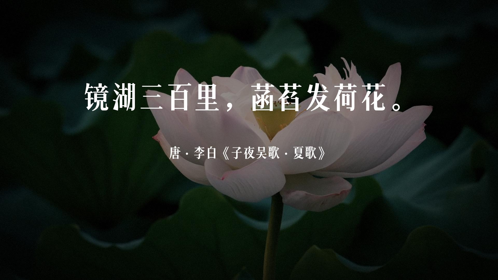 荷风送香气竹露滴清响是写荷花吗,古诗词经典唯美名句关于荷花的