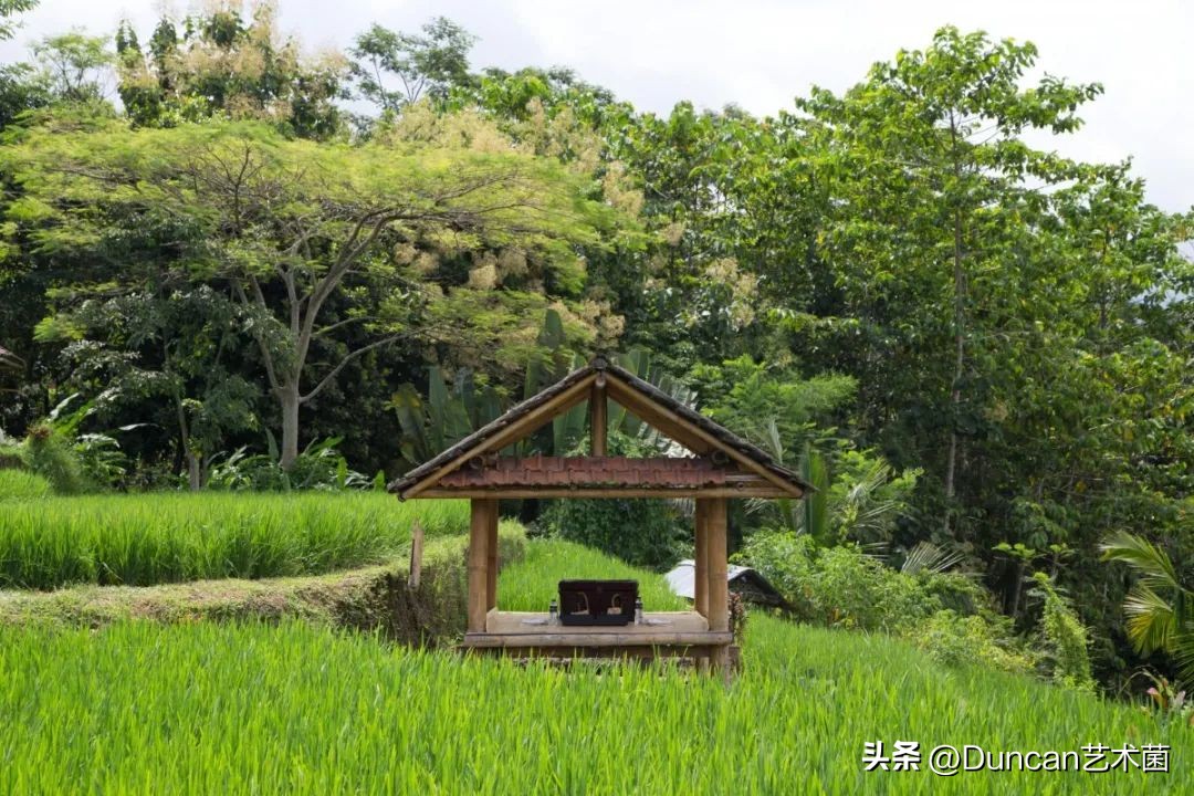 最顶级安缦,最值得住的安缦