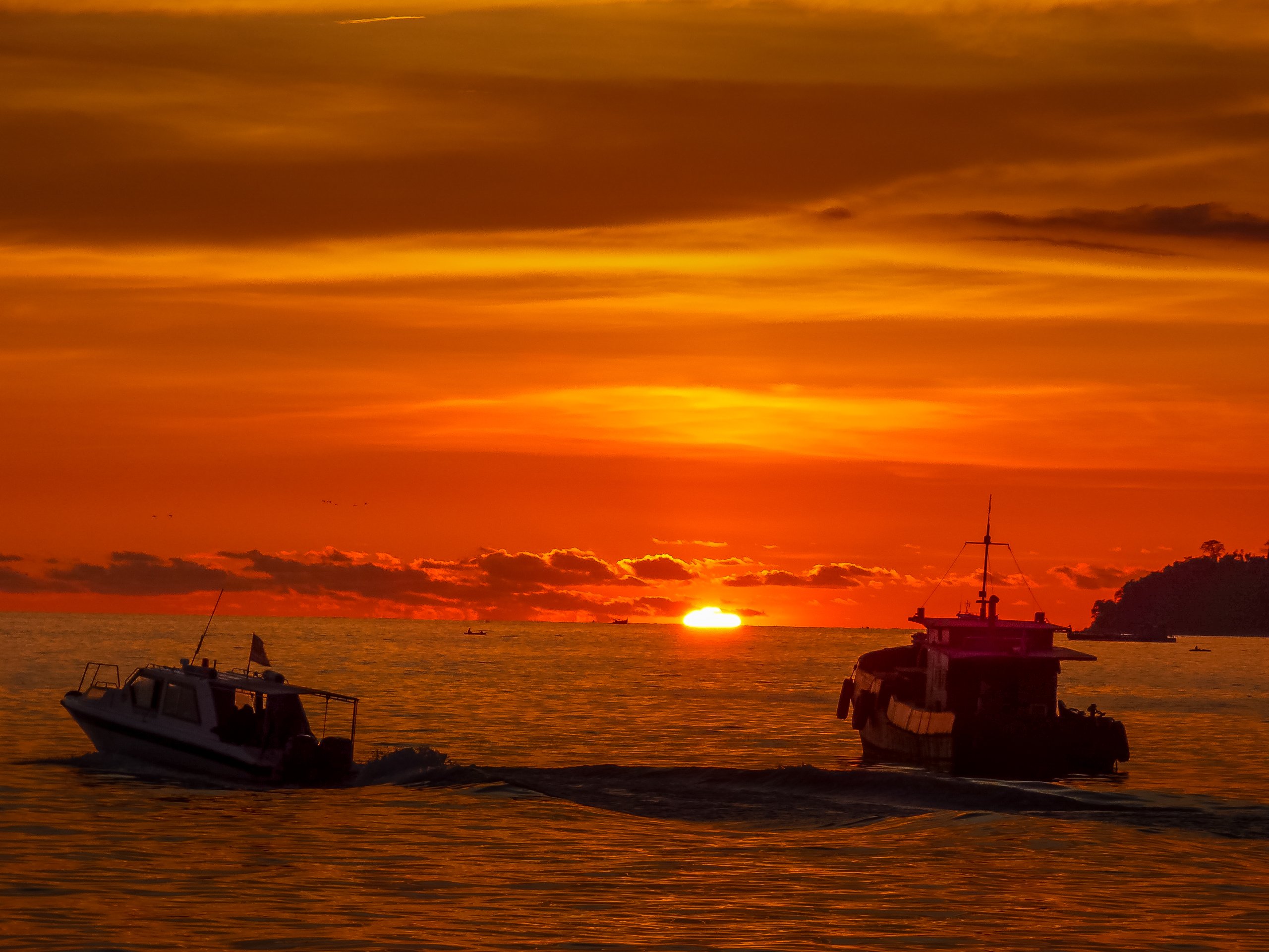 马来西亚仙本那海底,潜水马来西亚仙本那