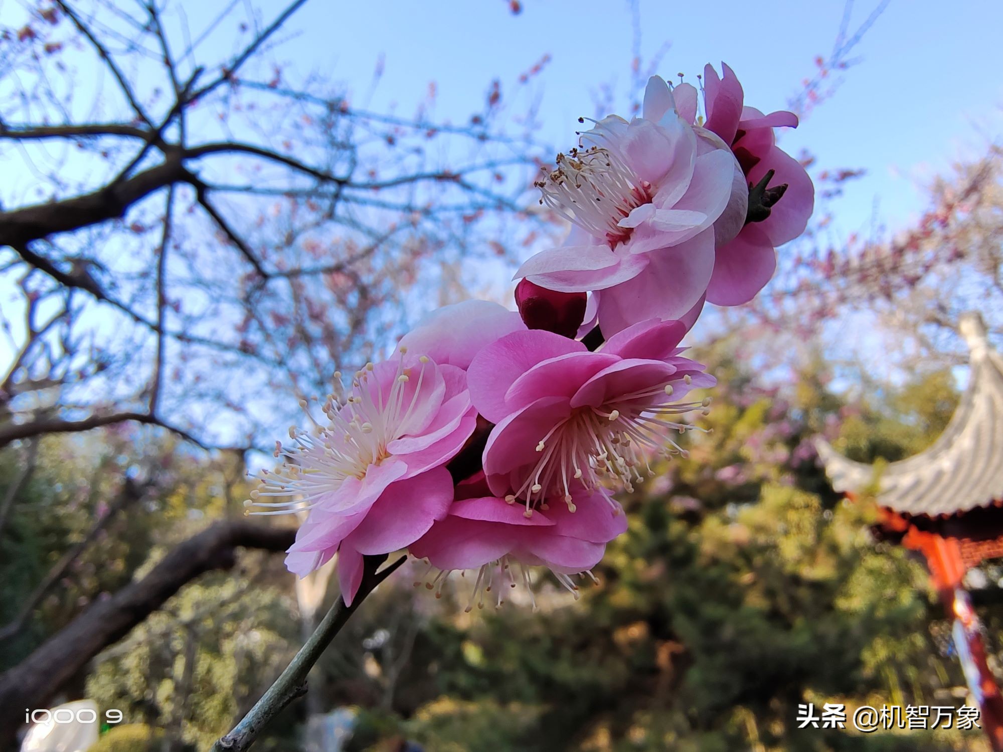 iqoo9强力散热,iqoo9高帧率散热测试