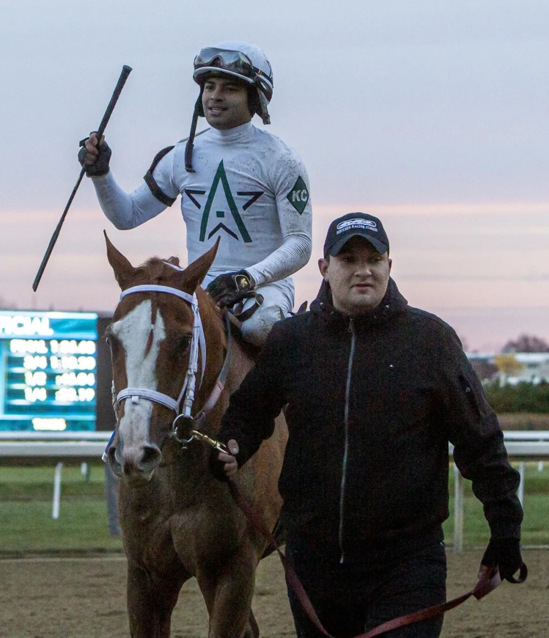 chc杰士马进展,chc杰士马售价