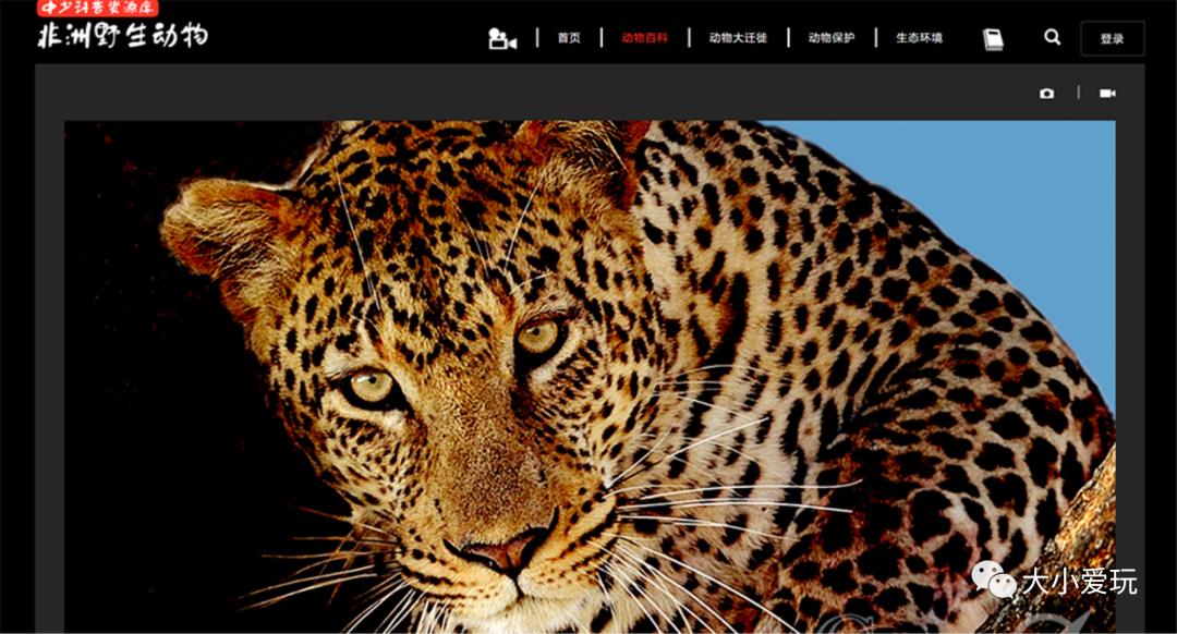 宅在家带娃的神器,宅家带娃必备神器