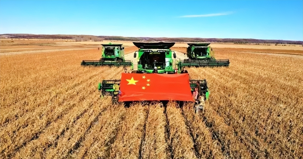 北大荒为什么要退耕还荒,北大荒退耕是什么时候