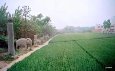 跟着走遍中国去旅游,跟着老唐环游中国