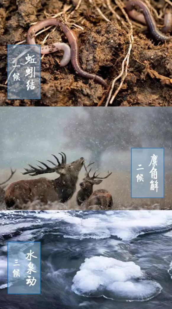 亭前垂柳珍重待春风全文,亭前垂柳珍重待春风原文