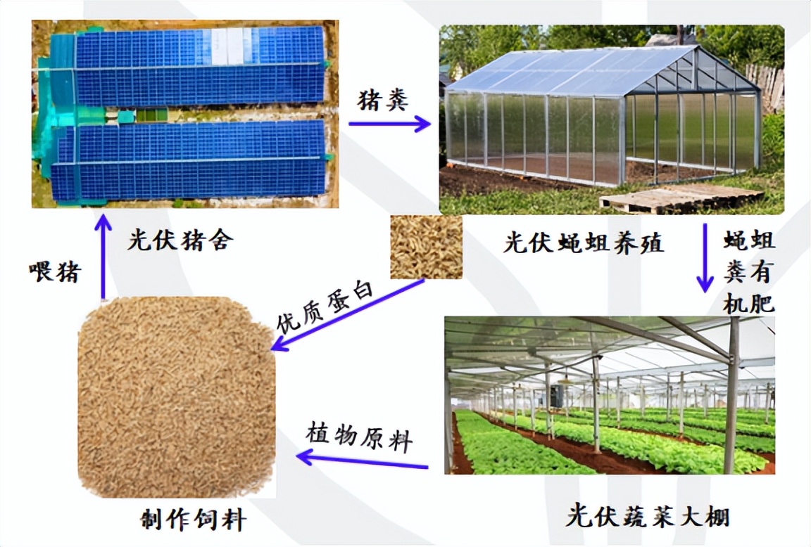 养殖场光伏发电的前景,光伏发电可以带动农村养殖吗