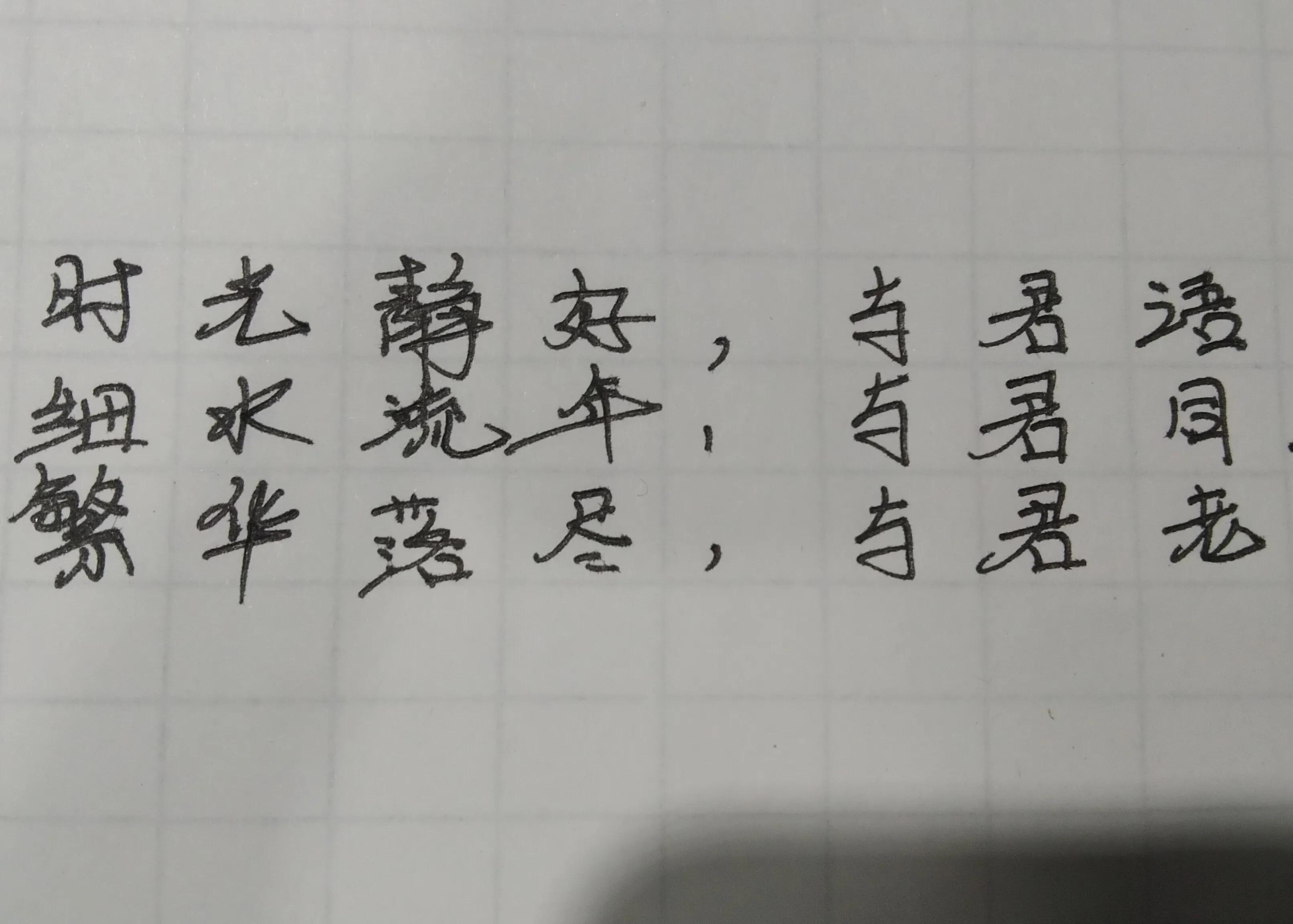 每日一写50字,每日一表白全文