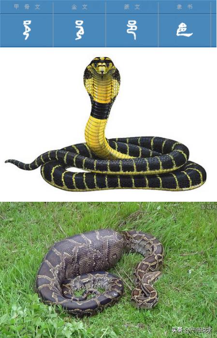 汉字偏旁部首正确格式,汉字偏旁部首名称表最齐全最完整