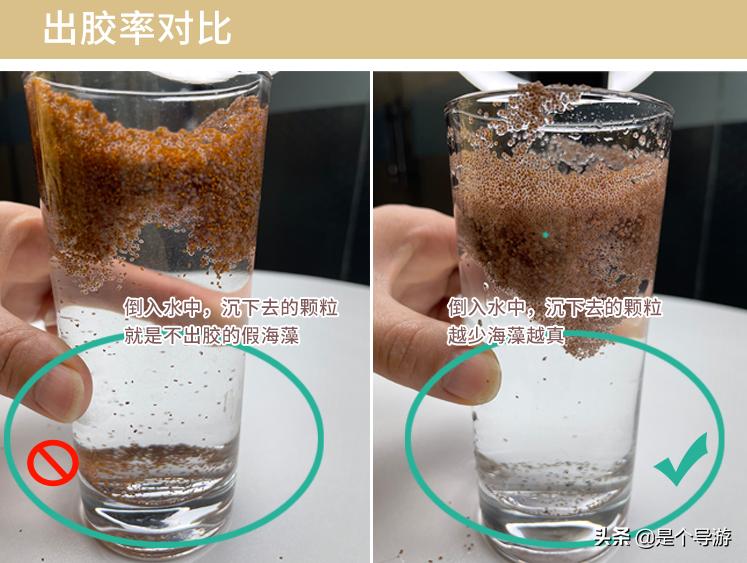 海藻面膜颗粒是海里生长的吗,海藻面膜是大海藻还是小海藻