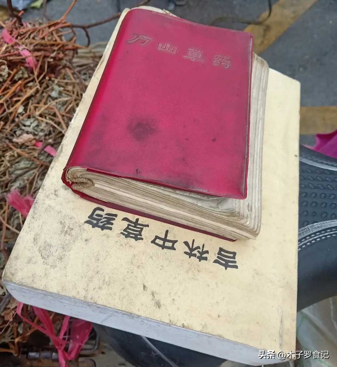 从前在乡下到处有的“疮仔花”,花朵用来煎蛋放粥,口感就是滑